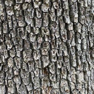 Meet your Posher, Vincent